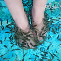 фото из отзыва ID 660250