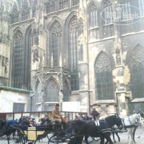 фото из отзыва ID 660600