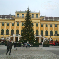 фото из отзыва ID 660600