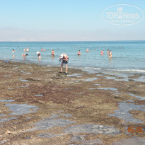 фото из отзыва ID 660771