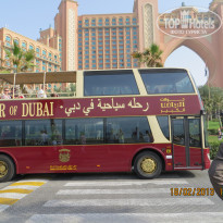 фото из отзыва ID 660971