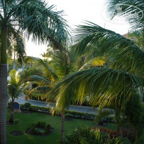 фото из отзыва ID 661148