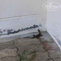 фото из отзыва ID 661168