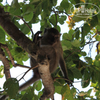 фото из отзыва ID 661168