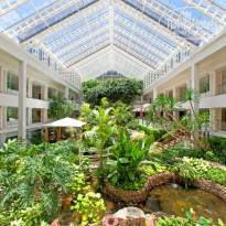 фото из отзыва ID 661473