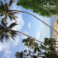 фото из отзыва ID 661782