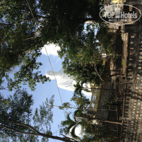 фото из отзыва ID 661782