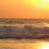 фото из отзыва ID 661851