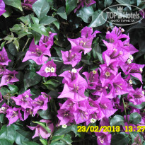 фото из отзыва ID 661706