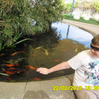 фото из отзыва ID 661706