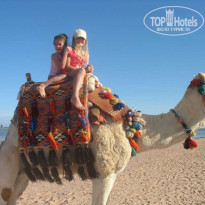 фото из отзыва ID 66266