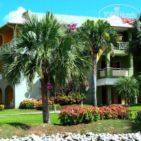 фото из отзыва ID 662017