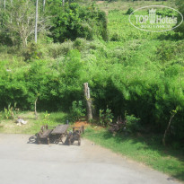 фото из отзыва ID 662107