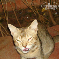 фото из отзыва ID 662292