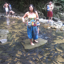 фото из отзыва ID 662408