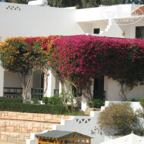 фото из отзыва ID 662544