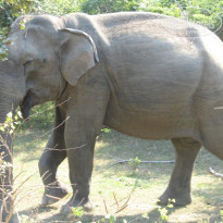 фото из отзыва ID 662951