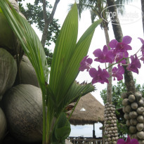 фото из отзыва ID 662408