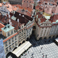 фото из отзыва ID 663159