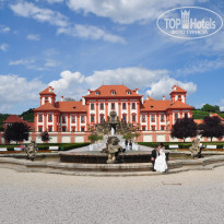 фото из отзыва ID 663159