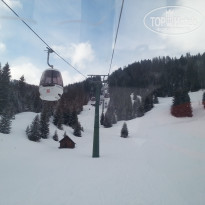 фото из отзыва ID 663500