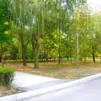 фото из отзыва ID 663627