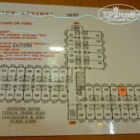 фото из отзыва ID 663698