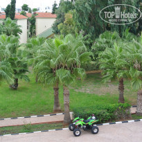 фото из отзыва ID 663808