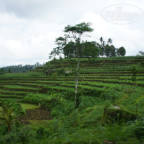 фото из отзыва ID 663826