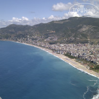 фото из отзыва ID 664003