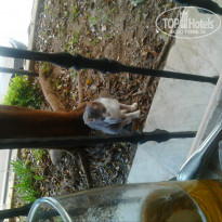 фото из отзыва ID 664003