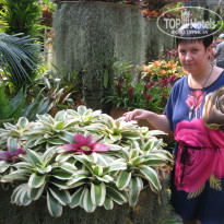 фото из отзыва ID 664170