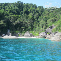 фото из отзыва ID 664213