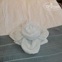 фото из отзыва ID 664463