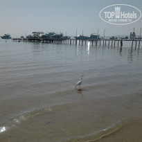 фото из отзыва ID 664416