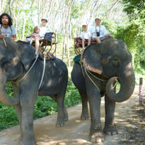 фото из отзыва ID 664540