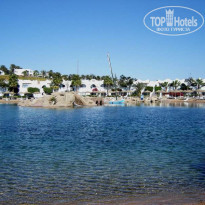 фото из отзыва ID 66524