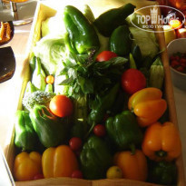 фото из отзыва ID 66524