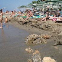 фото из отзыва ID 66546