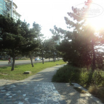 фото из отзыва ID 665783