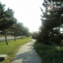 фото из отзыва ID 665783