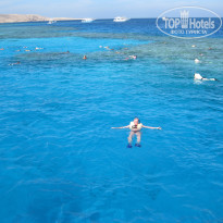 фото из отзыва ID 665923