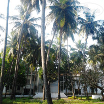 фото из отзыва ID 665112