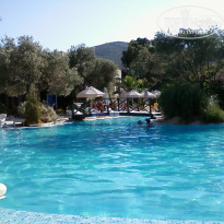 фото из отзыва ID 665146