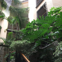 фото из отзыва ID 665390