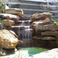 фото из отзыва ID 665516