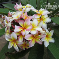 фото из отзыва ID 665026