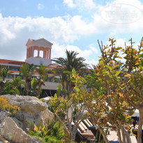 фото из отзыва ID 666331