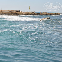 фото из отзыва ID 666331