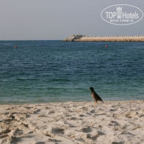 фото из отзыва ID 666210